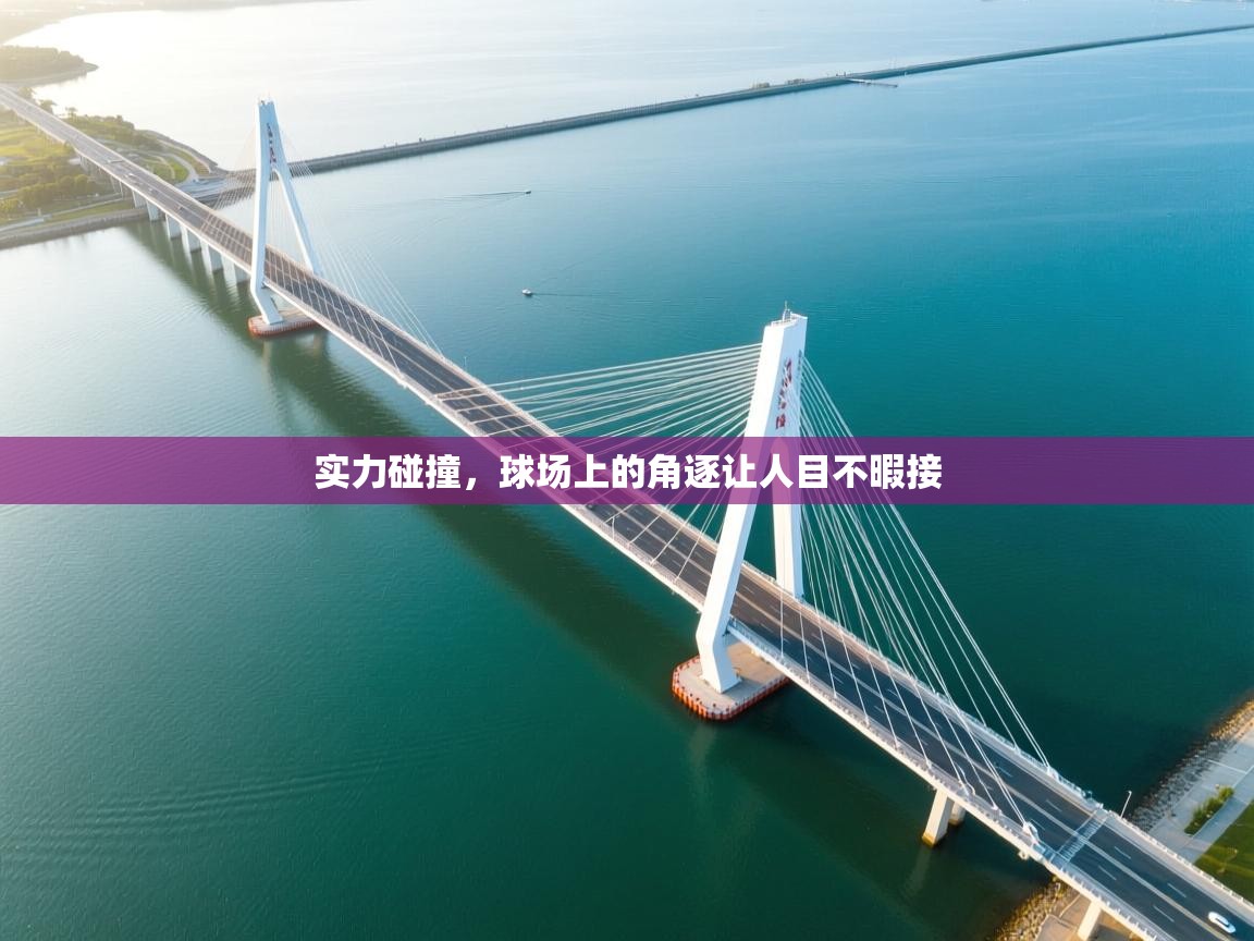 实力碰撞,球场上的角逐让人目不暇接 第1张